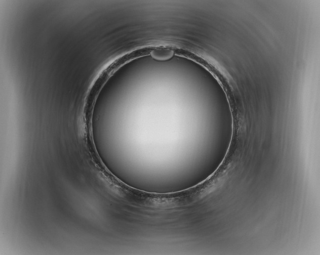 X0000116260927200911301150