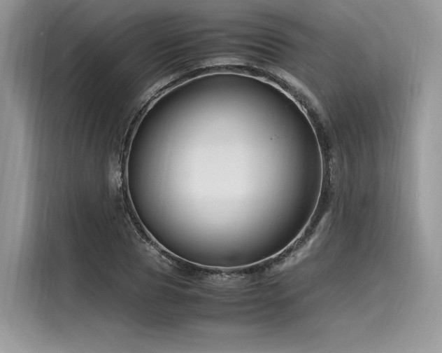 X0000116260929200911301150