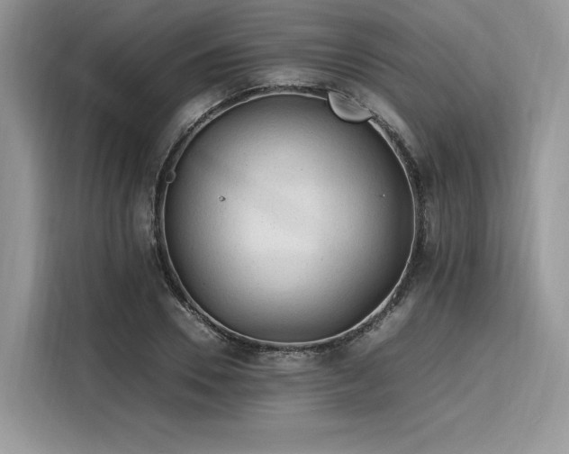 X0000116260930200911301150