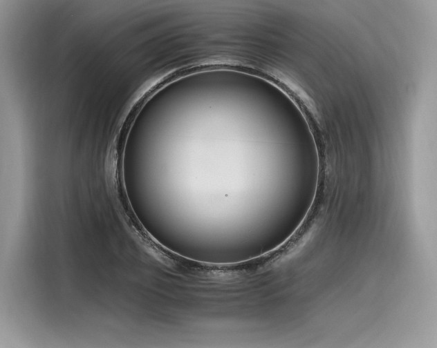 X0000116260933200911301150