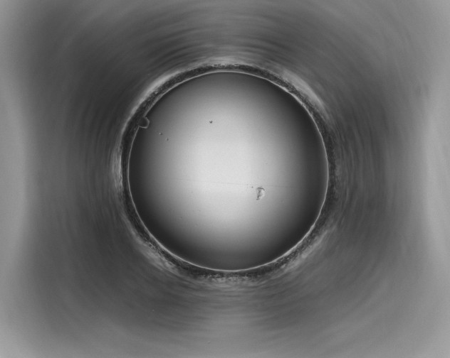 X0000116260934200911301150