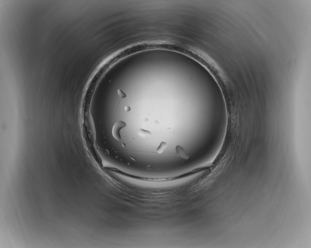 X0000116260935200911301150