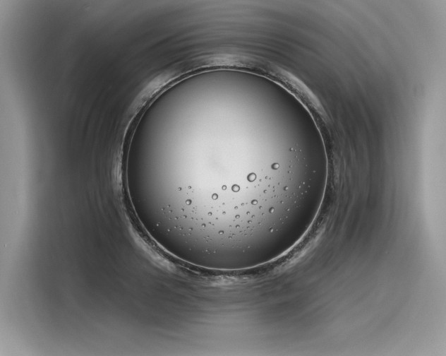 X0000116260938200911301150