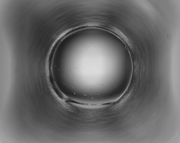 X0000116260939200911301150