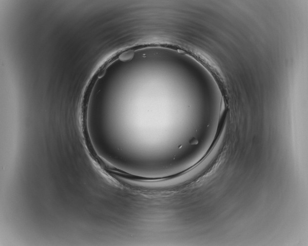 X0000116260942200911301150