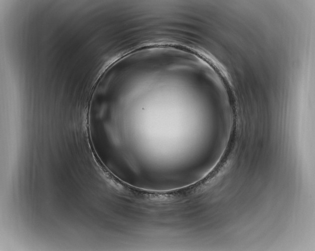 X0000116260945200911301150