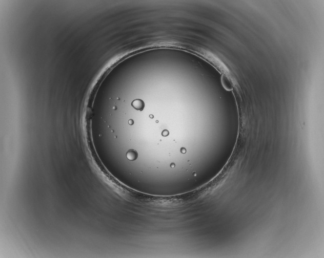 X0000116260947200911301150