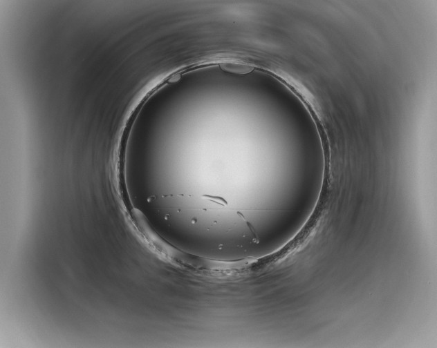 X0000116260949200911301150