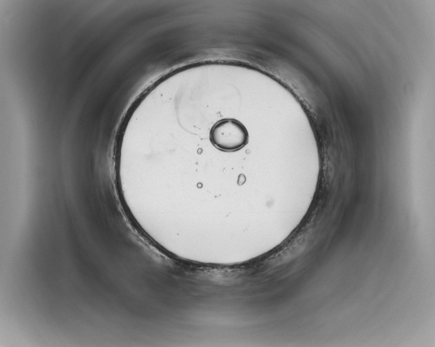 X0000116260950200911301150
