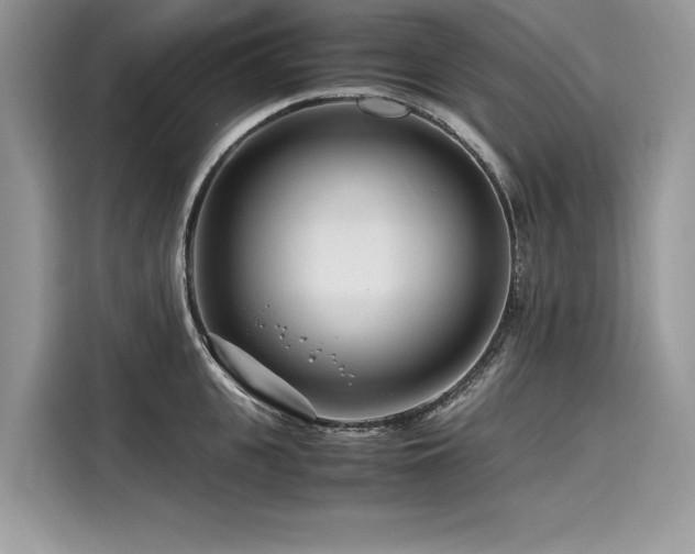 X0000116260951200911301150