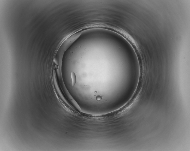 X0000116260953200911301150