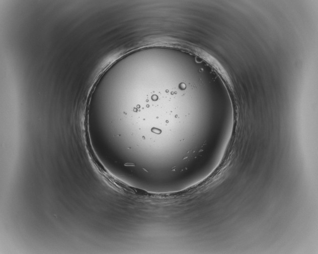 X0000116260954200911301150
