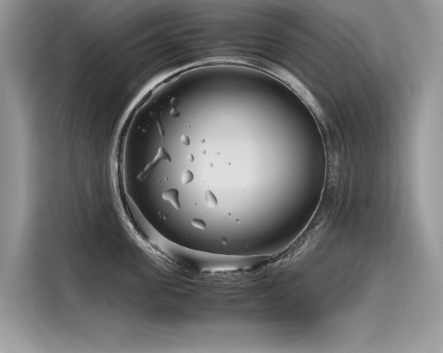 X0000116260955200911301150