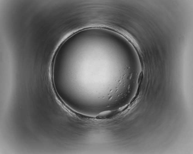 X0000116260958200911301150