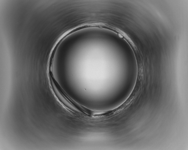 X0000116260959200911301150
