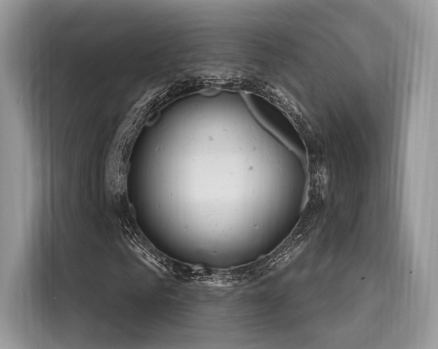 X0000116260961200911301150