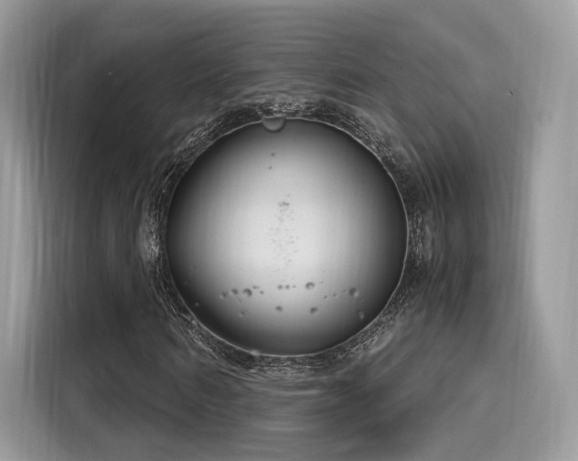 X0000116260962200911301150