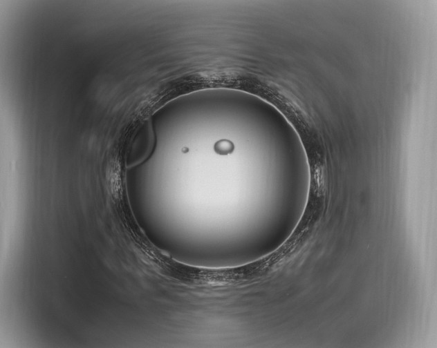 X0000116260963200911301150