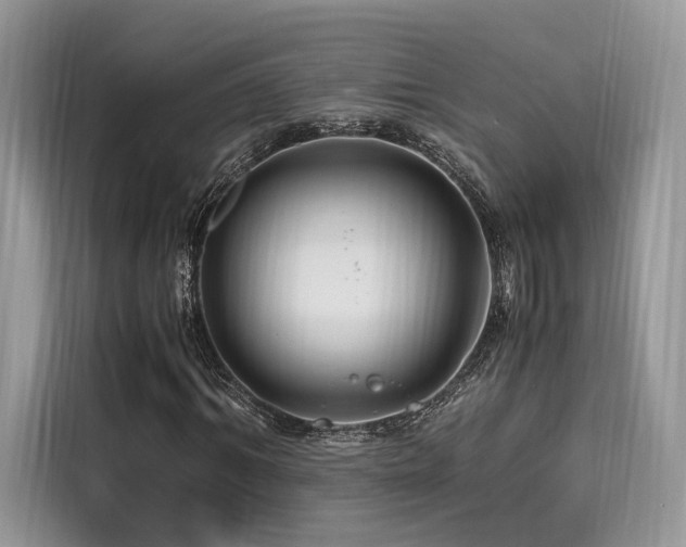 X0000116260964200911301150