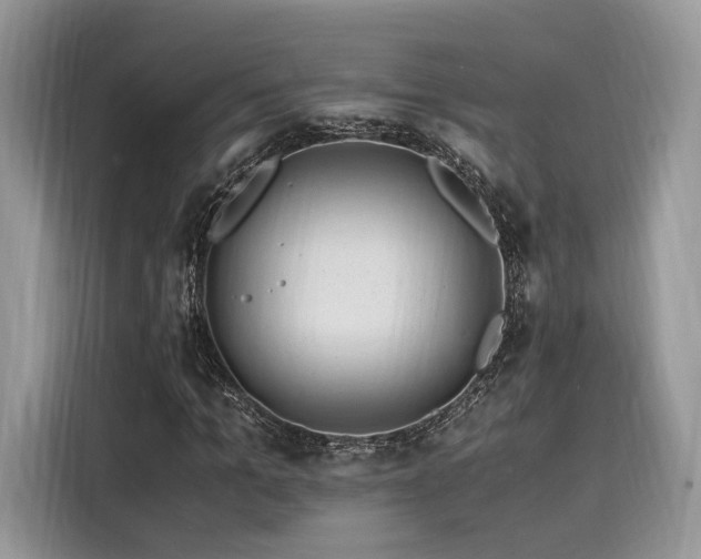 X0000116260965200911301150