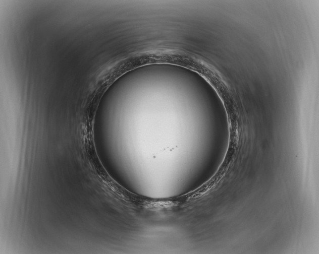 X0000116260966200911301150