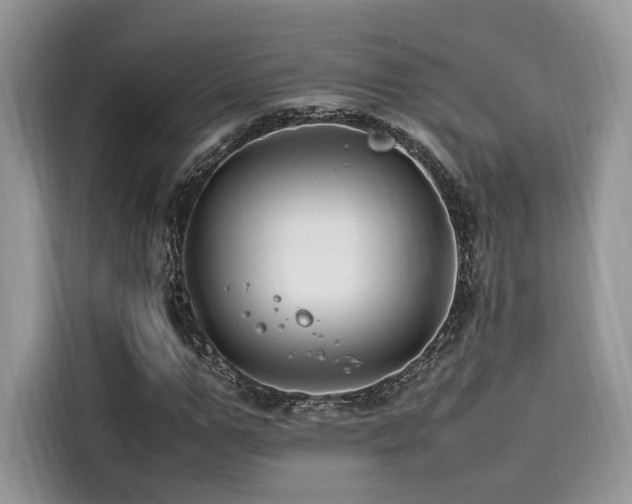 X0000116260967200911301150