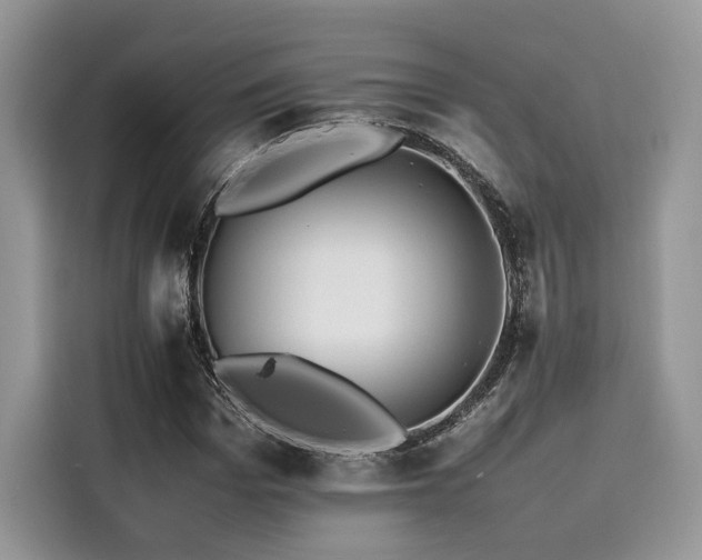 X0000116260969200911301150