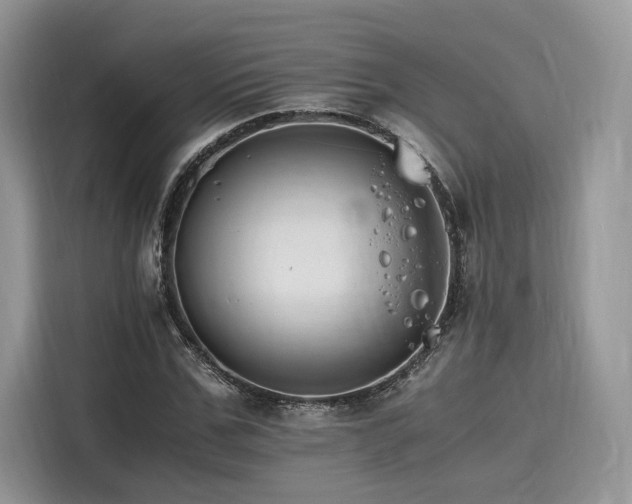 X0000116260971200911301150