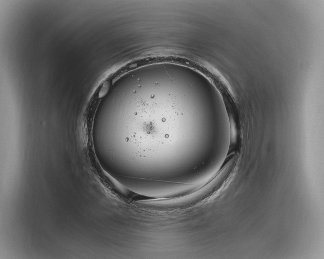 X0000116260973200911301150