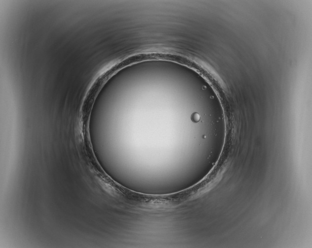 X0000116260974200911301150