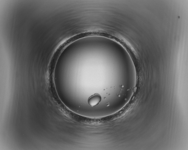 X0000116260975200911301150