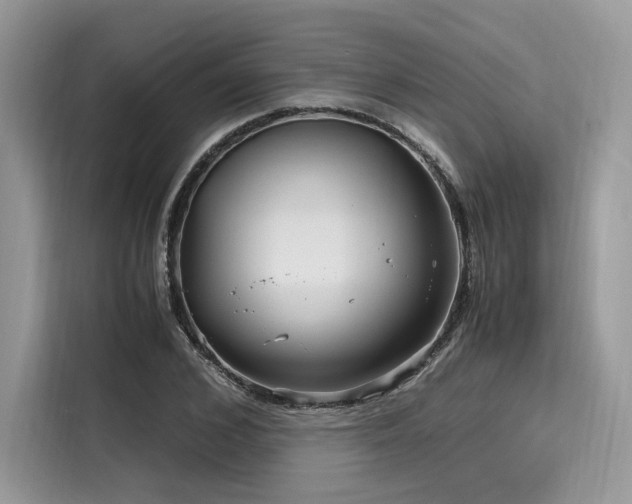X0000116260976200911301150