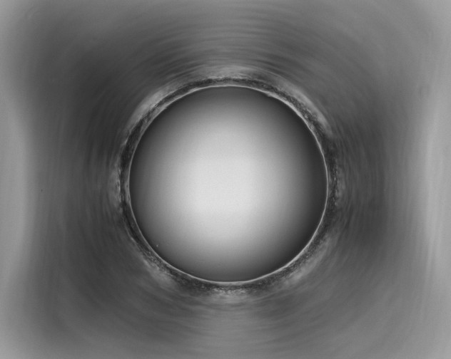 X0000116260978200911301150
