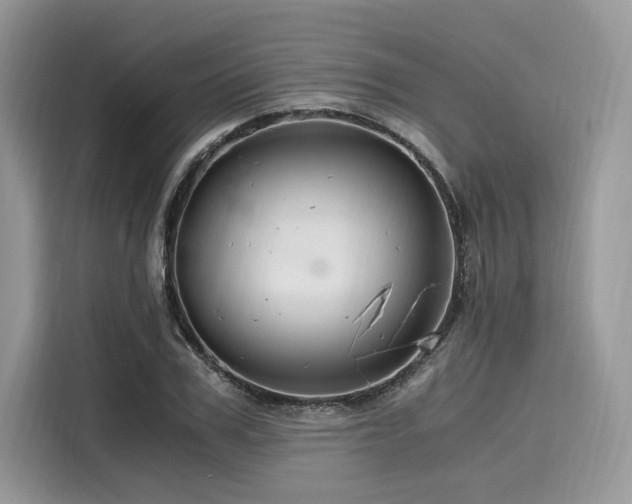 X0000116260979200911301150