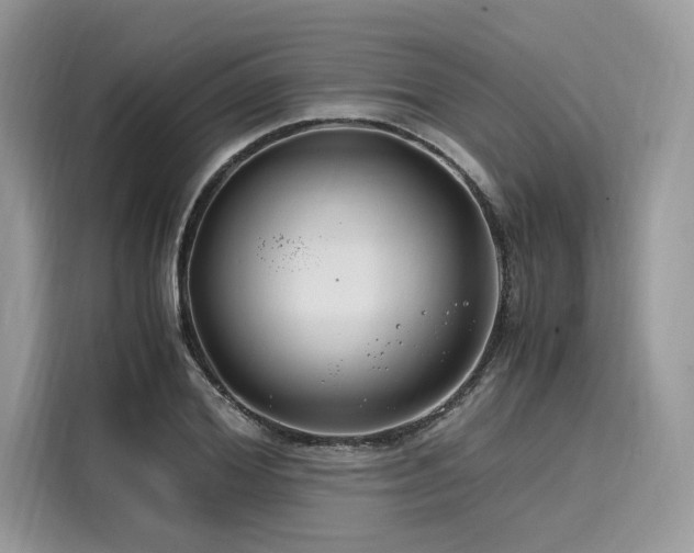 X0000116260980200911301150