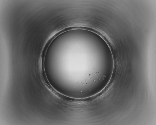 X0000116260982200911301150