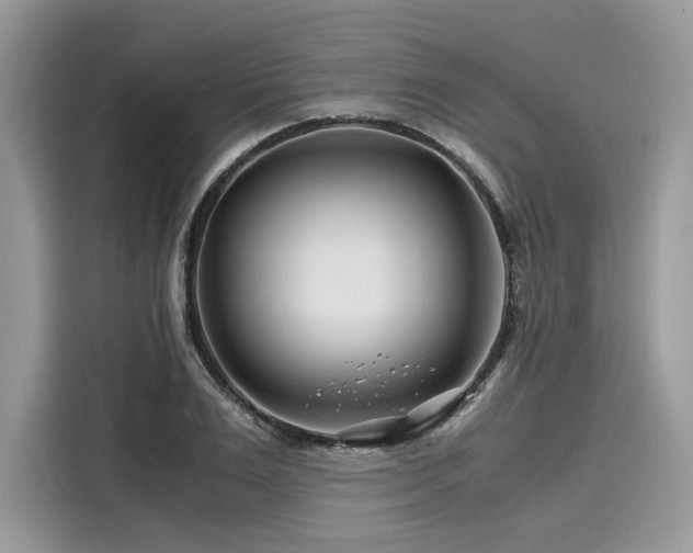 X0000116260983200911301149