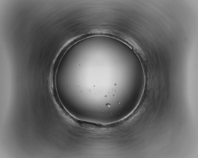 X0000116260984200911301149