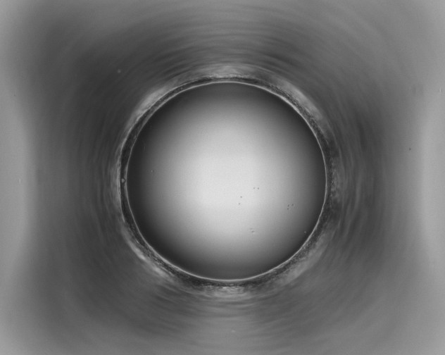 X0000116260986200911301149