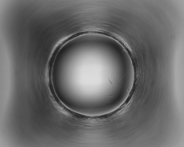 X0000116260987200911301149