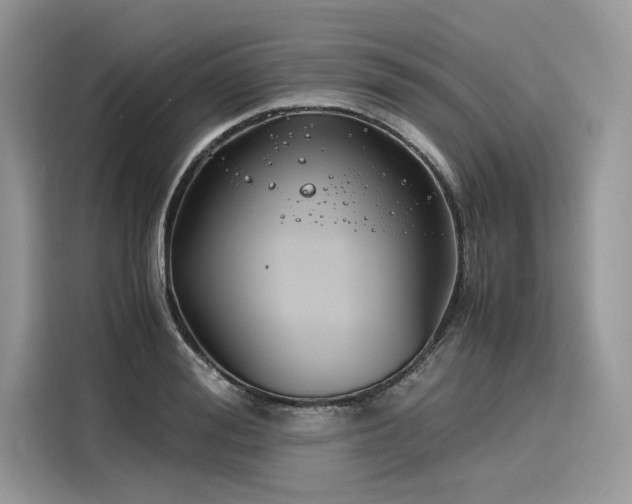 X0000116260988200911301149