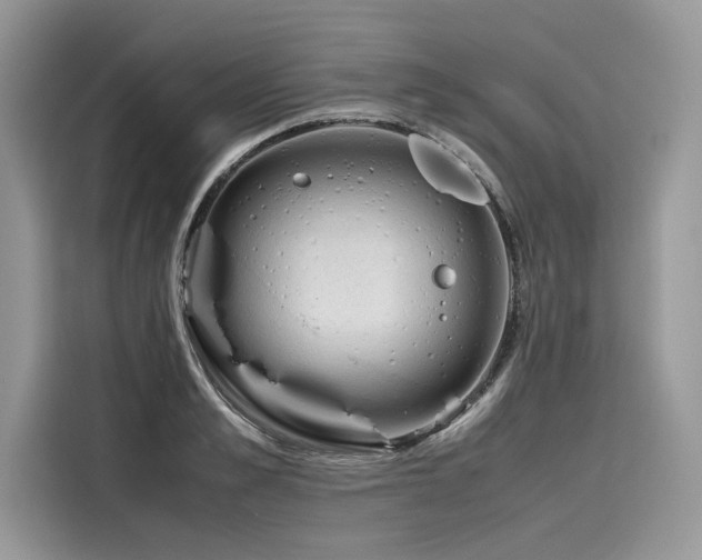X0000116260989200911301149
