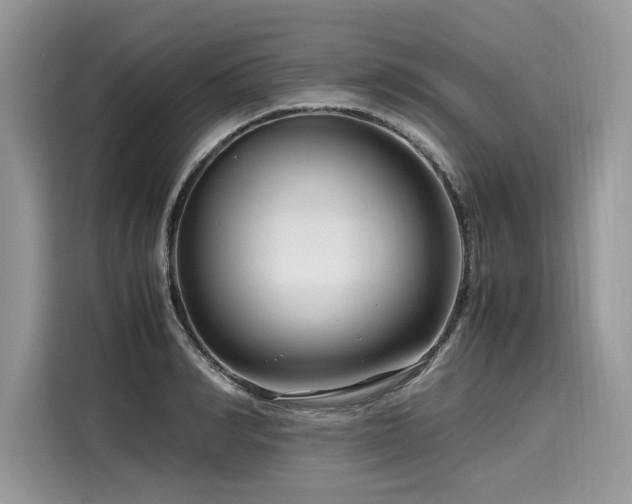 X0000116260990200911301149