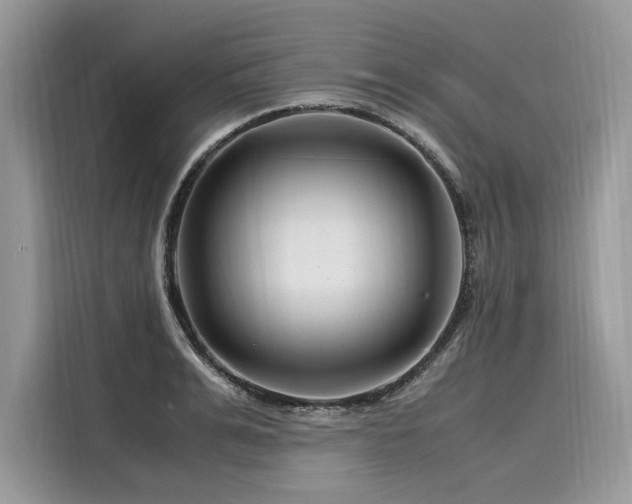 X0000116260991200911301149