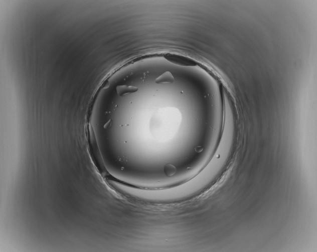 X0000116260993200911301149