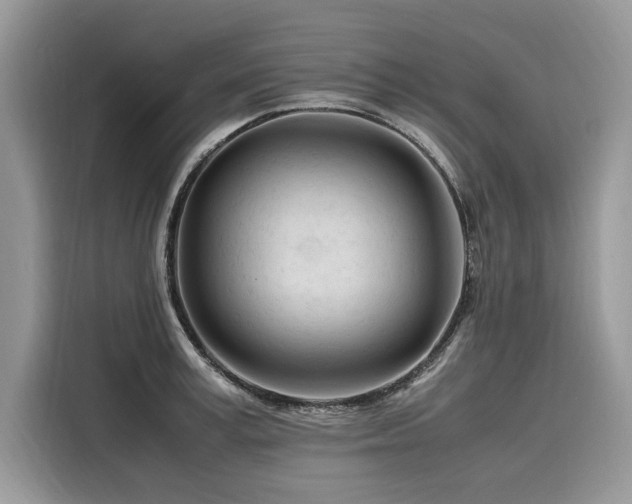 X0000116260995200911301149