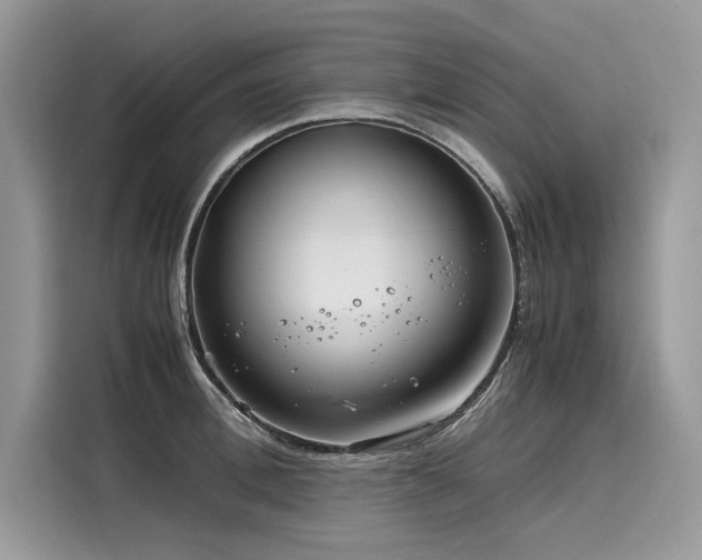 X0000116260996200911301149