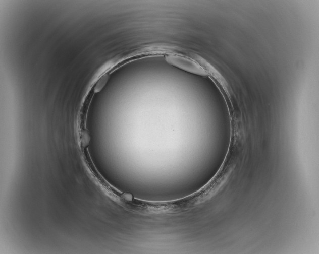 X0000116260997200911301149