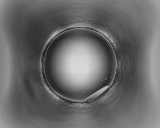 X0000116260998200911301149