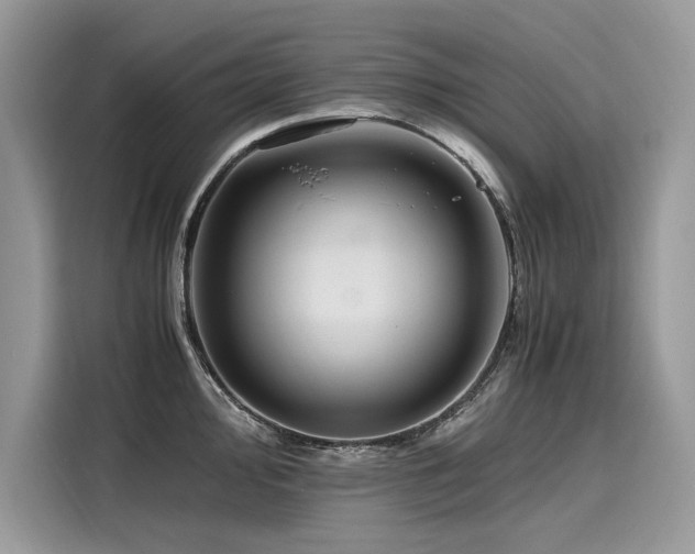 X0000116261000200911301149